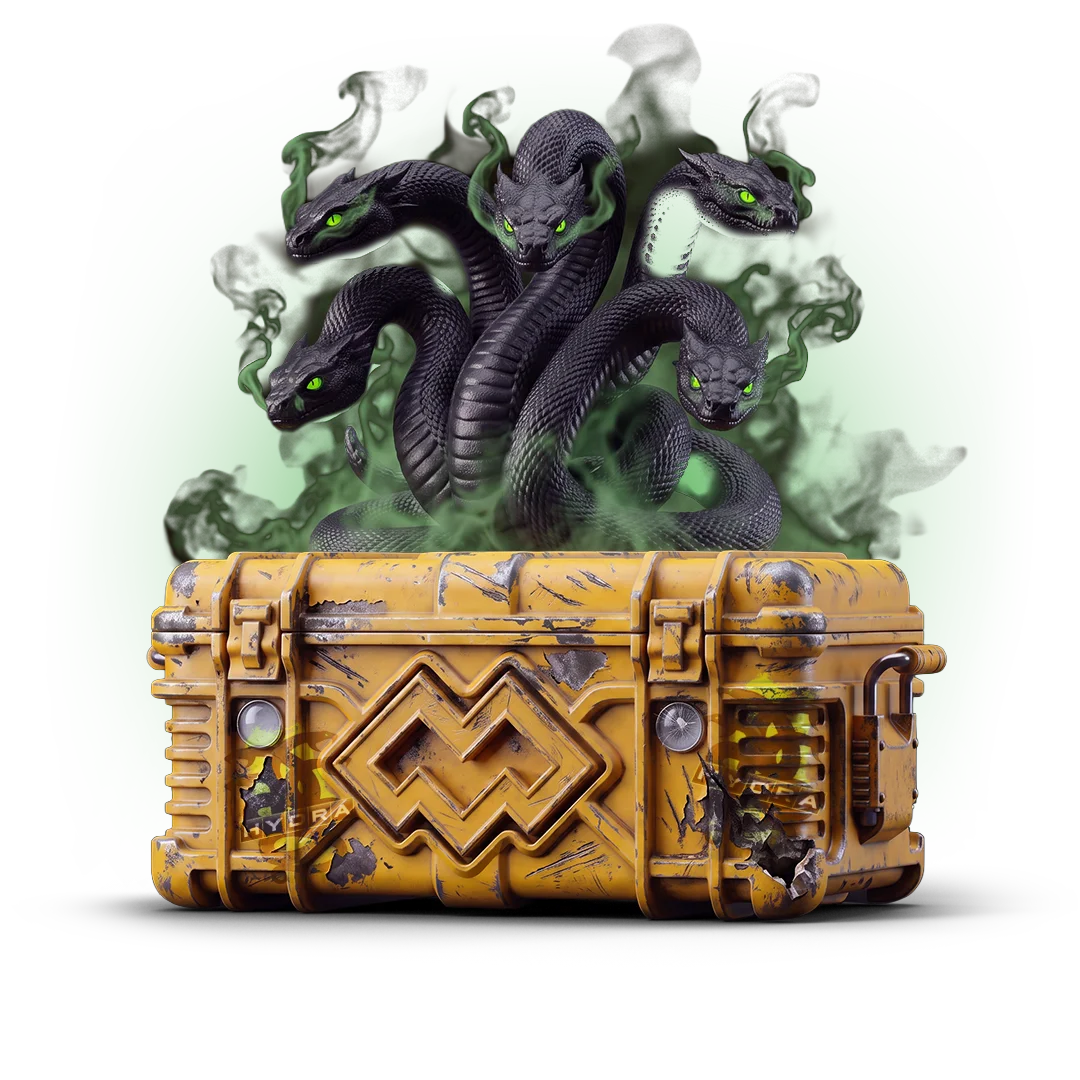 Operation Hydra Case